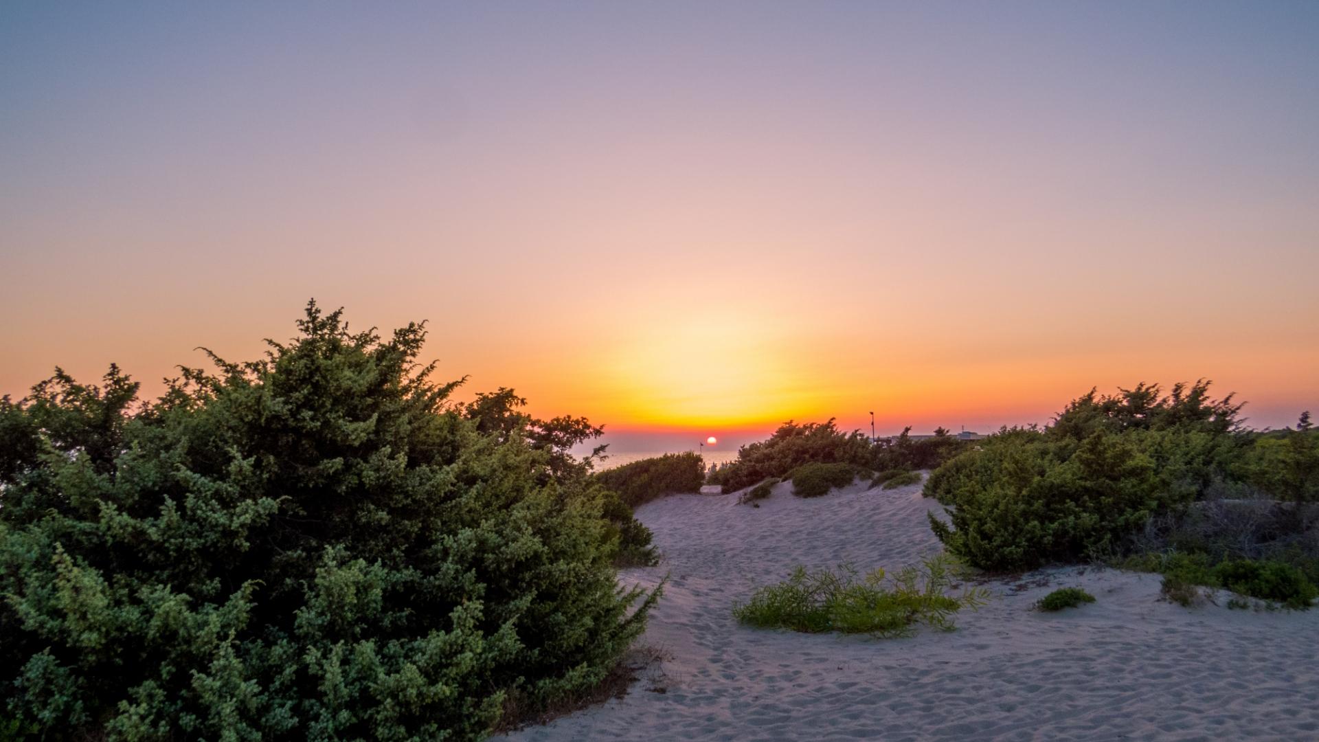 Sunset over a sandy beach with green vegetation.