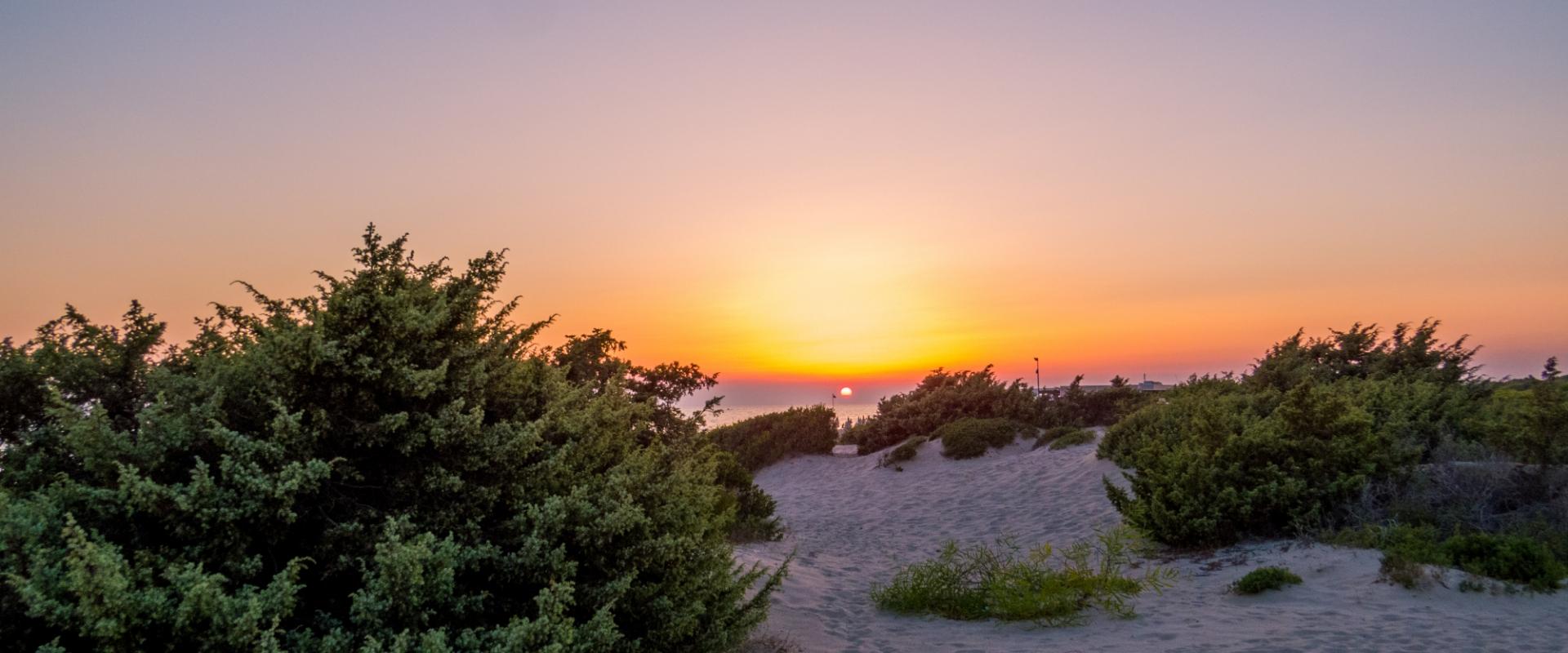 Breathtaking sunset over a sandy beach with green vegetation.