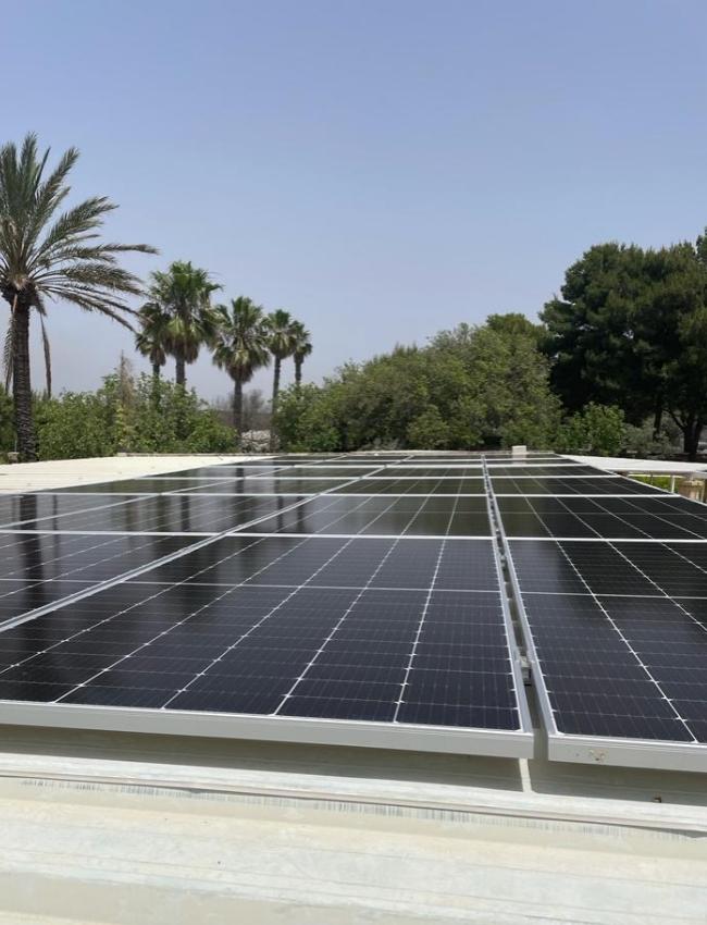 Solar panels on a roof with palm trees and other trees in the background.