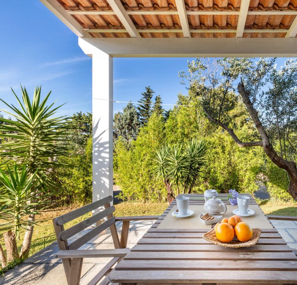 Terrace with wooden table, tea cups, and fresh fruit, surrounded by green plants.