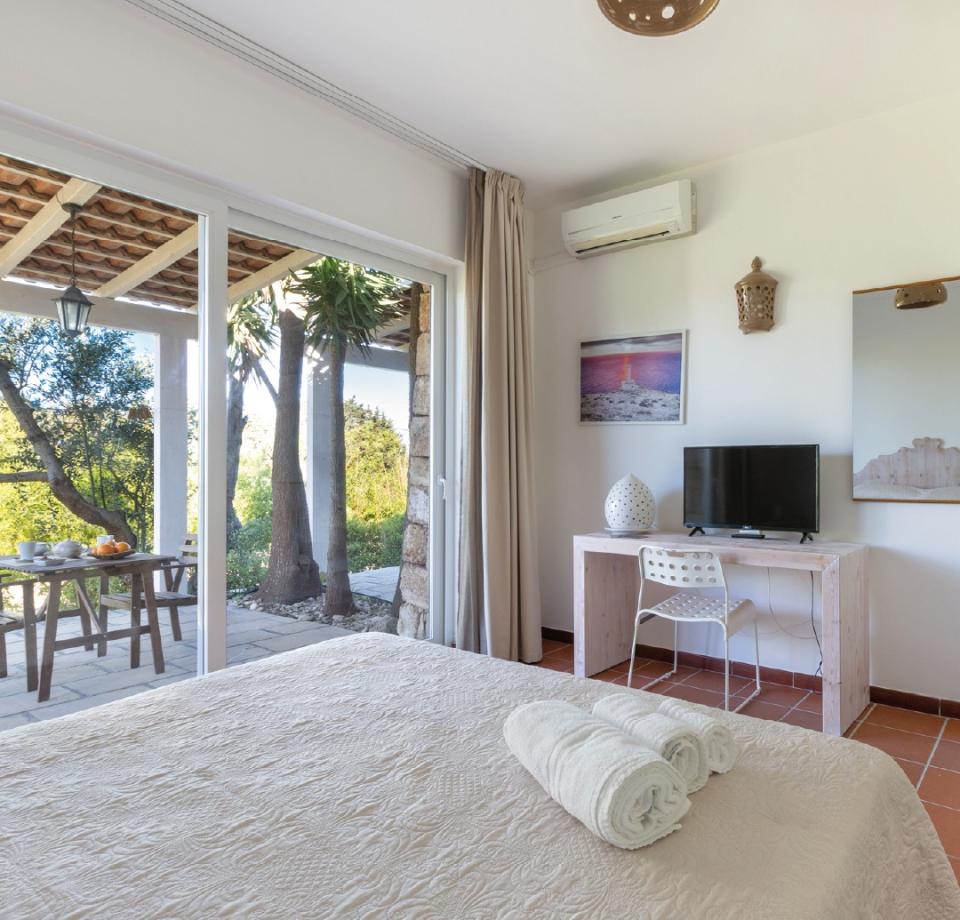 Bright room with garden view, TV, and desk.